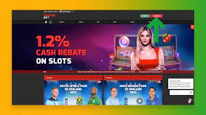 Marvelbet - Sports betting and Online Gambling establishment